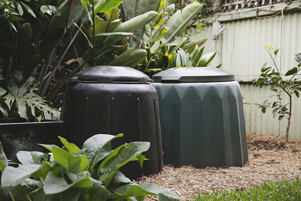 Stocksy txp1521d370pwn300 OriginalDelivery 3091676